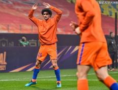 莎拉波娃遭遇五连败，日本队教练面临压力！的简单介绍